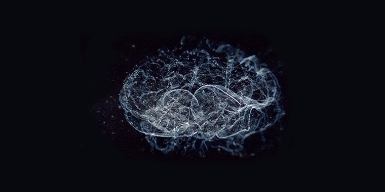 Adjuk át helyünket