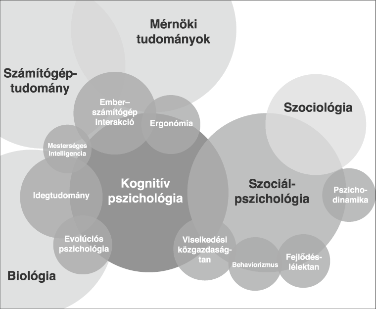 A különböző pszichológiai ágak közötti kapcsolatok