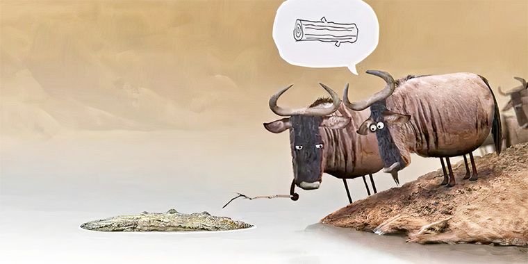 Bizalom és bizalomépítés