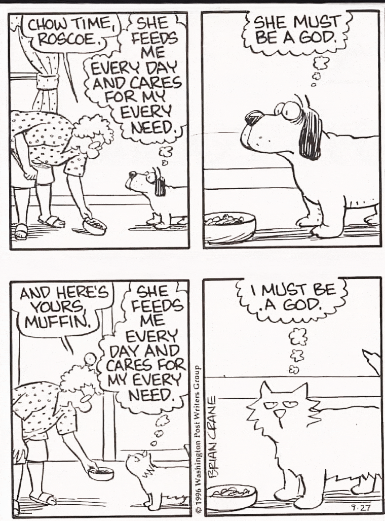 Képregény, melyben a kutya elmondja, hogy a gazdája egy isten, hiszen gondoskodik róla minden nap. Ugyanezt elmeséli egy macska is, csak ő arra következtet, hogy ő egy isten, hiszen kiszolgálják minden nap.